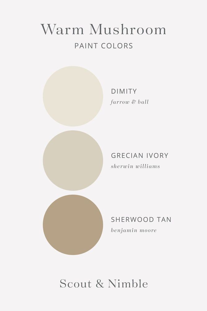 Mushroom Paint Color Benjamin Moore Shiitake Mushroom (CSP 1040):